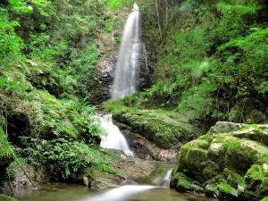 払沢の滝