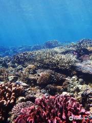 Heichao Dive in Okinawa