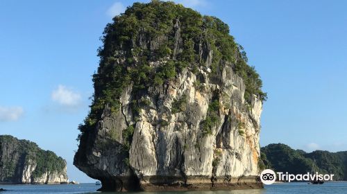 Trung Trang Cave