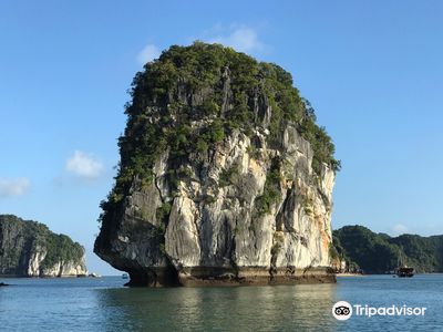 Trung Trang Cave