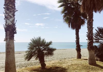 Playa de la Misericordia