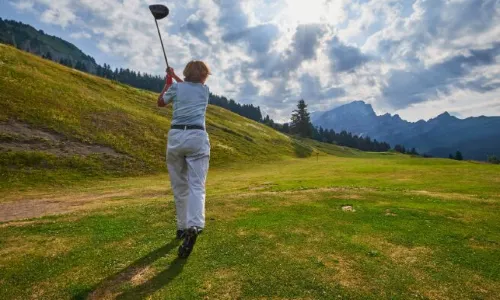 Télé-Villars-Gryon-Diablerets SA