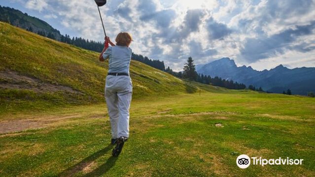 Télé-Villars-Gryon-Diablerets SA