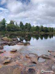 Parc national de Phu Kradung