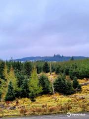 Greenock Cut Visitor Centre