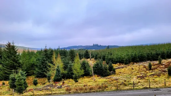 Greenock Cut Visitor Centre