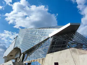 Museum des Confluences