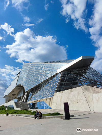 Museum des Confluences