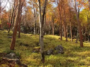 Shikokusangaku Botanical Garden Gakujin no Mori