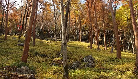 四國山嶽植物園・岳人の森