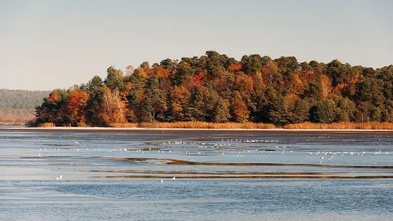 Roztochya Nature Reserve