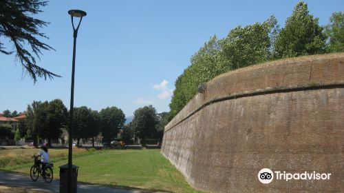 Le mura di Lucca