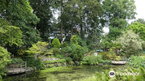 Botanical Garden Kruidtuin