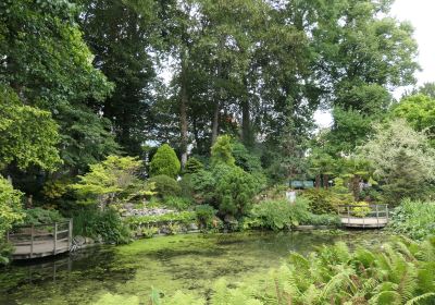 jardin botanique de Louvain