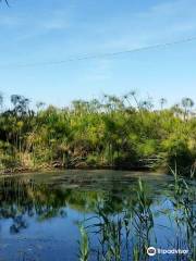 Riserva Naturale fiume Ciane