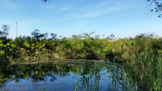 Riserva Naturale fiume Ciane