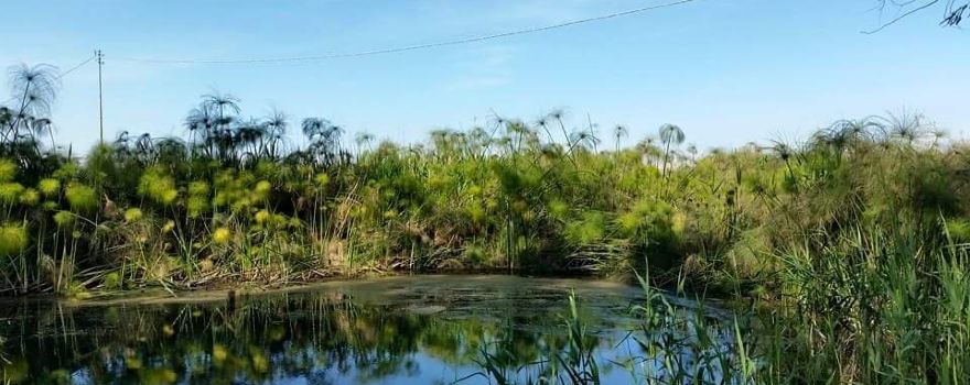 Riserva Naturale fiume Ciane