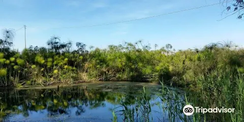 Riserva Naturale fiume Ciane