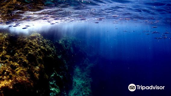 Innerdive Ltd