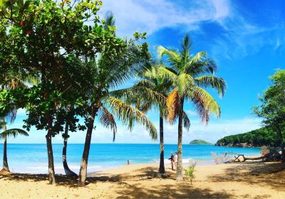 Plage de la Perle