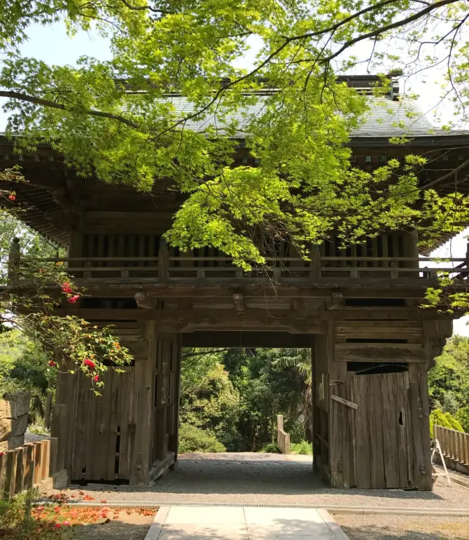 Kamiita
