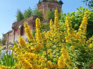 The Historical and Cultural Complex Vyatskoye