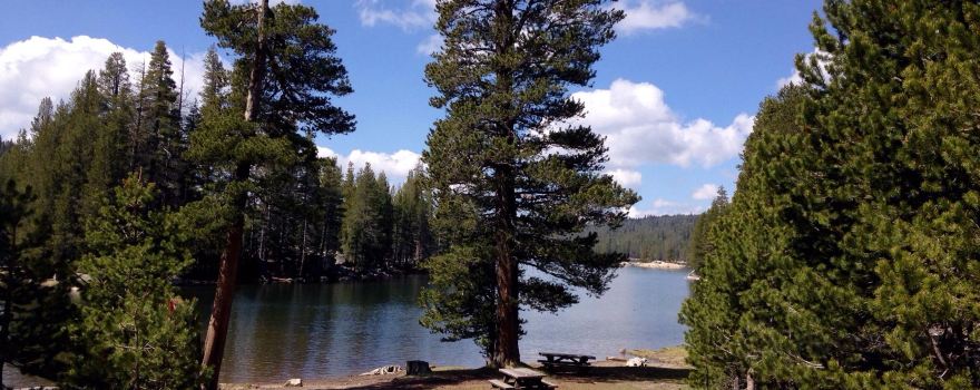 Bear Valley