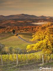 Castiglion del Bosco