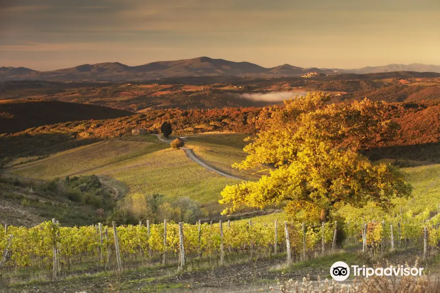 Castiglion del Bosco