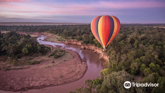 Governors' Balloon Safaris