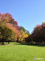 Lake Sammamish State Park