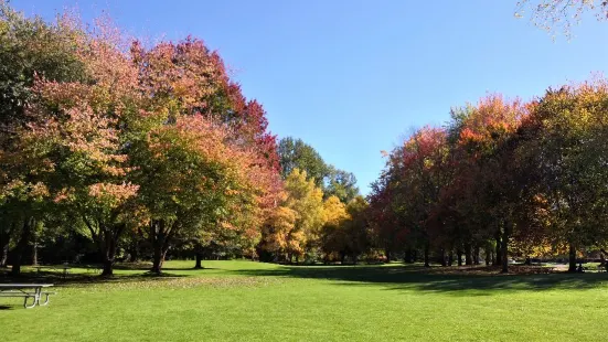 レイク・サマミッシュ州立公園