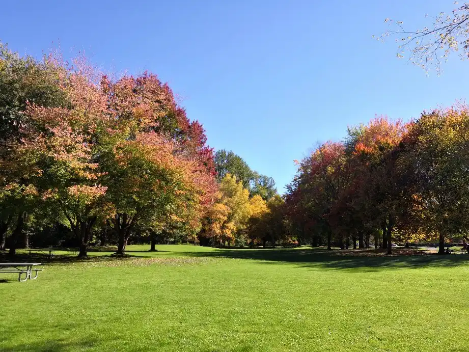 Hotels near Lake Sammamish State Park