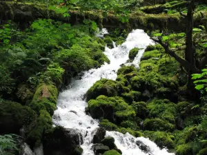 哥倫比亞河峽穀國家風景區