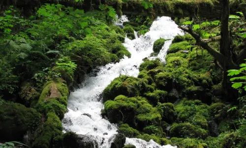 Columbia River Gorge National Scenic Area