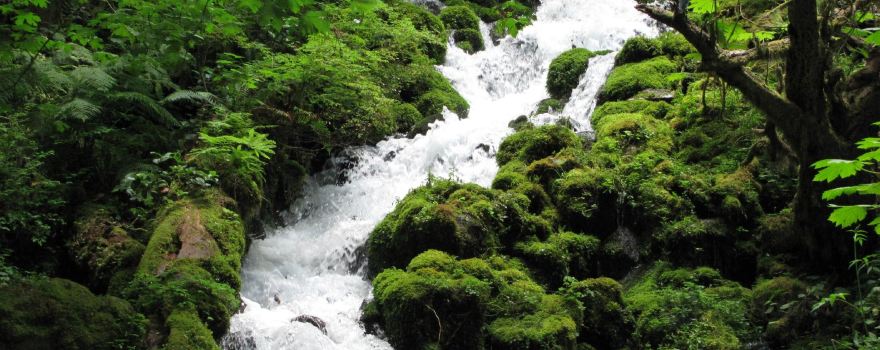 Columbia River Gorge National Scenic Area