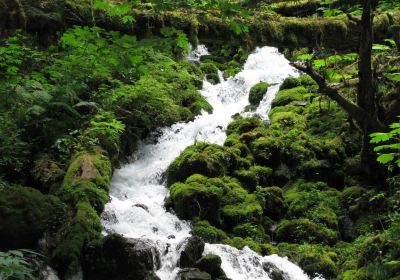 Columbia River Gorge National Scenic Area