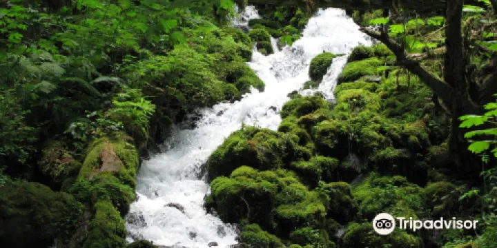 哥倫比亞河峽穀國家風景區