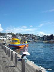 Misaki fishing port