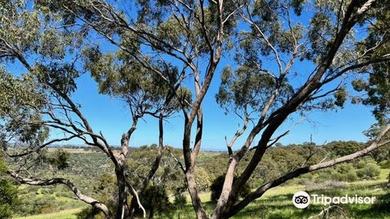 Onkaparinga River National Park