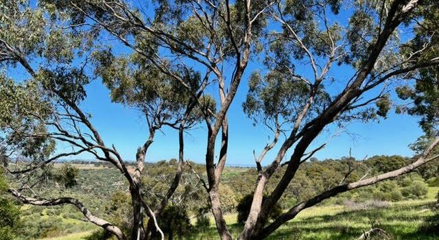 Onkaparinga River National Park