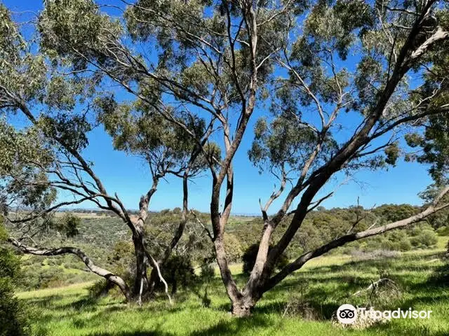 Onkaparinga River National Park