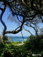 uMhlanga Lagoon Nature Reserve