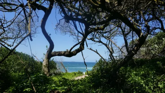 uMhlanga Lagoon Nature Reserve