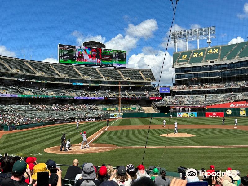 Flüge Bermudas Oakland