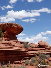 White Rim Overlook Trl