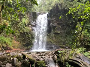 The Lost Waterfalls-Boquete