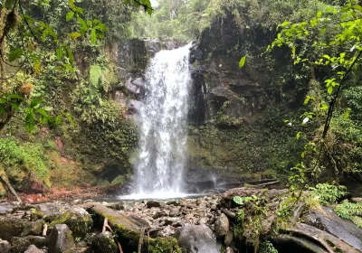 Los Naranjos