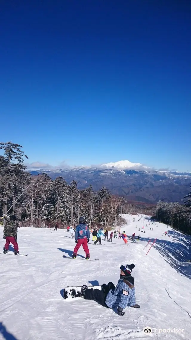 Skiing in Takayama