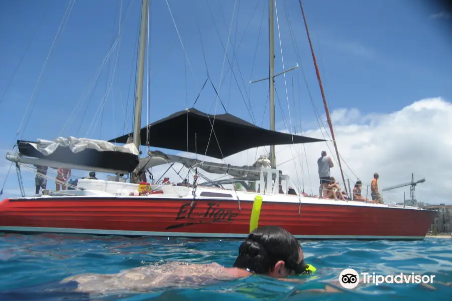 El Tigre Catamaran Sailing Cruises